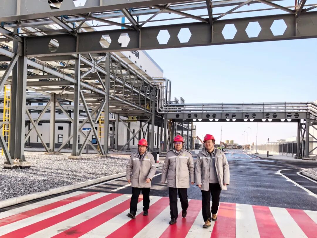 1761642558662233.jpg 1761642558662233.jpg