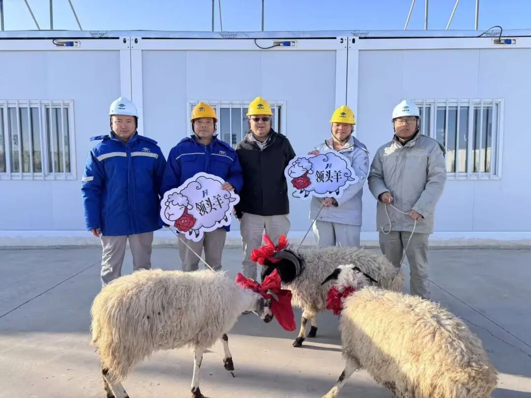 1761704101871049.jpg 1761704101871049.jpg