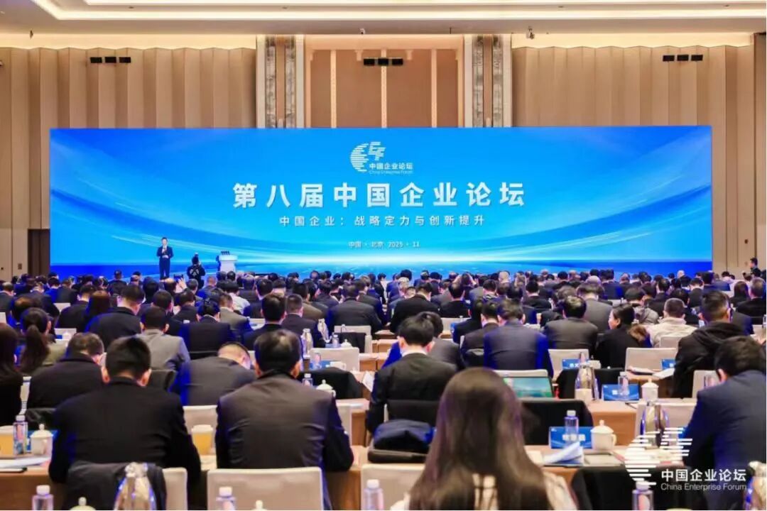 1762414132600795.jpg 1762414132600795.jpg