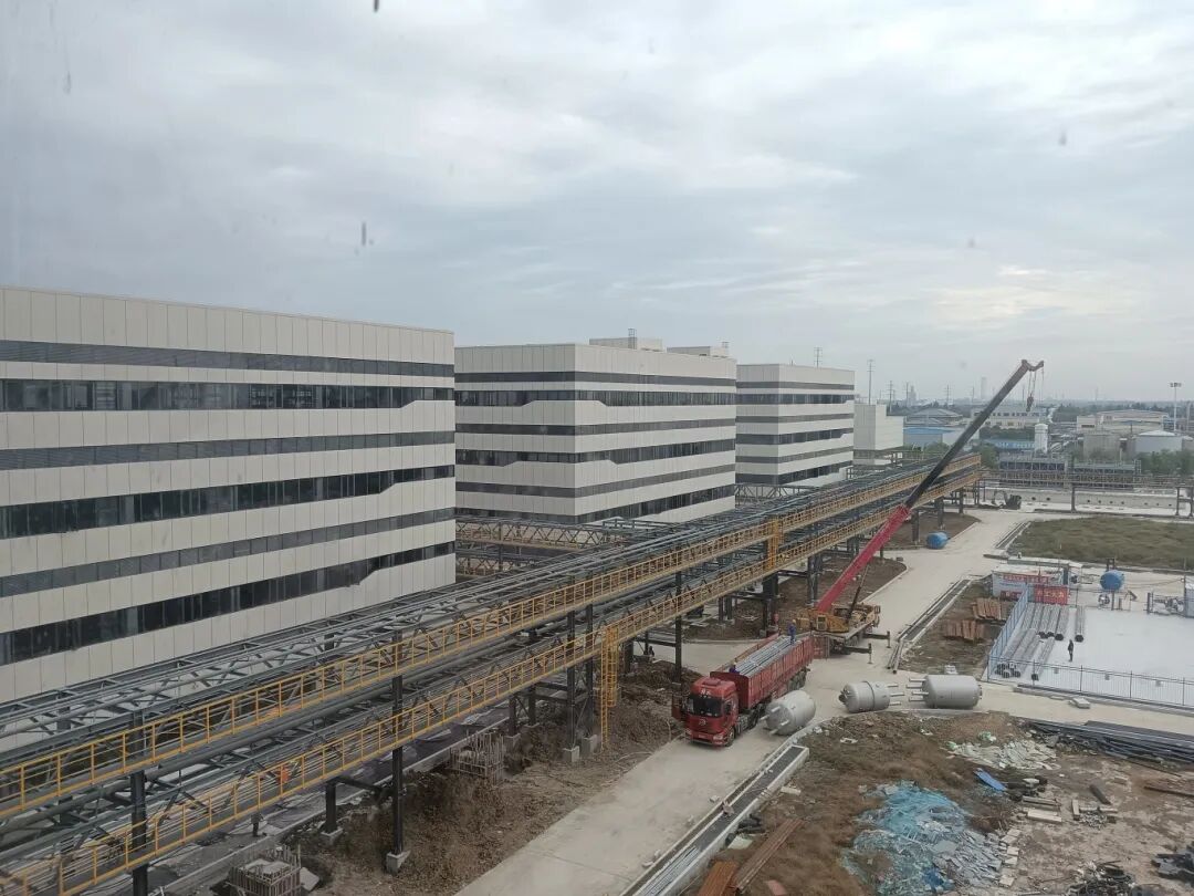 1762420494776931.jpg 1762420494776931.jpg